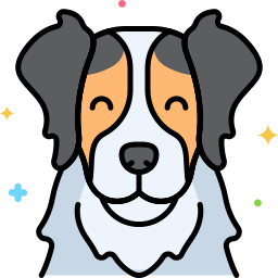 border collie icon