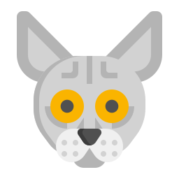 Sphynx cat icon