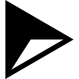 Triangle icon