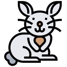 Bunny icon