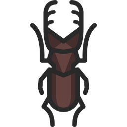 Beetle icon