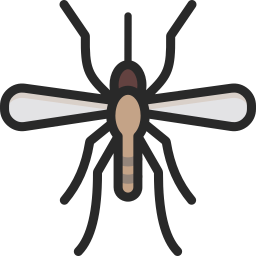 Crane fly icon