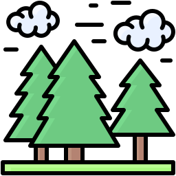 Pine icon