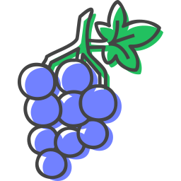 Grapes icon