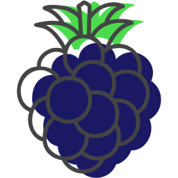 Blackberry icon