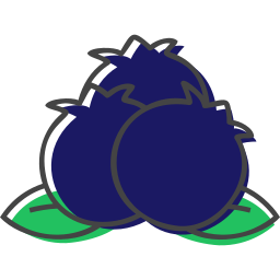 Blueberries icon