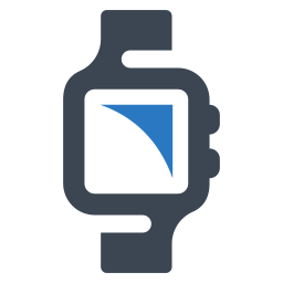 Clock icon