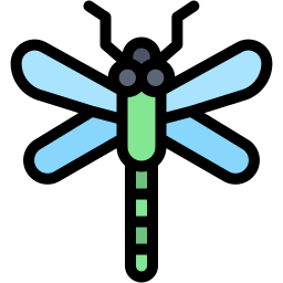 Dragonfly icon