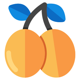 Apricot icon