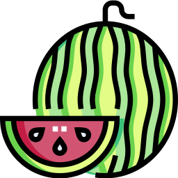 Watermelon icon