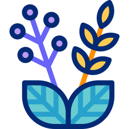 Natural herbs icon