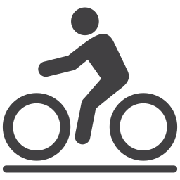 Bike icon