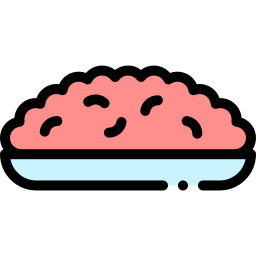 Minced meat icon