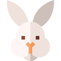 lapin Icône