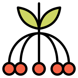 Fruit icon