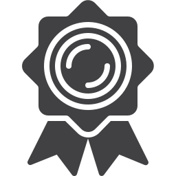 Medal icon