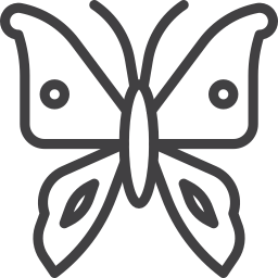 schmetterling icon