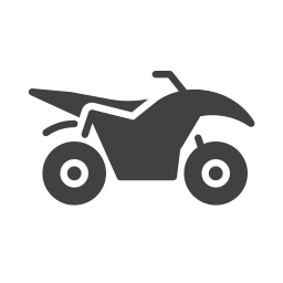 Vehicle icon