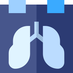 X ray icon