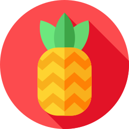 ananas icon