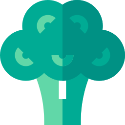 Broccoli icon