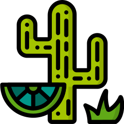 kaktus icon