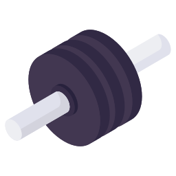 Weight plate icon