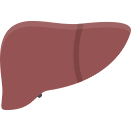 médecin Icône