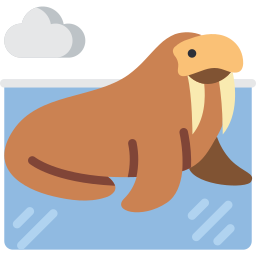 Walrus icon