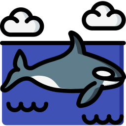 Orca Ícone