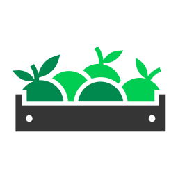 Fruit icon