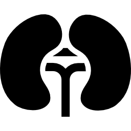 Kidneys icon