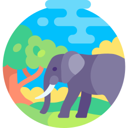 Elephant icon