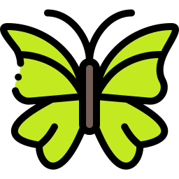 schmetterling icon