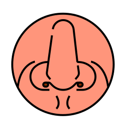 kopf icon