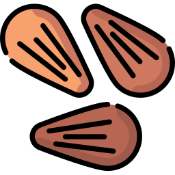 Almond icon