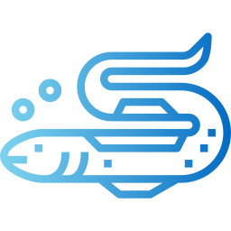 Eel icon