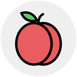 Fruit icon