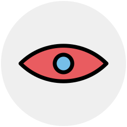 Eye icon