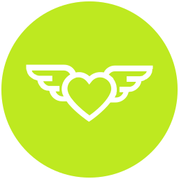 Fly icon