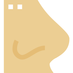 Nose icon