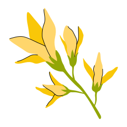 Forsythia icon