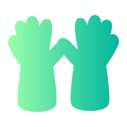 Gloves icon