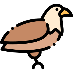 Eagle icon