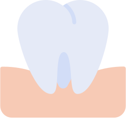 molar Ícone