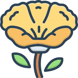 Poppy icon