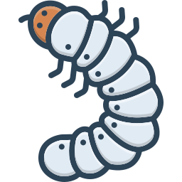 Insect icon