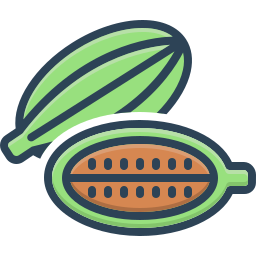 Spice icon