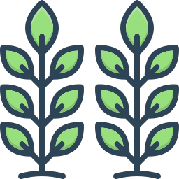 植物学 icon