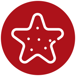 Starfish icon